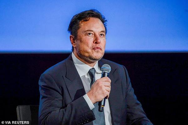 Mr. Musk (pictured) wanted to get rid of what he saw 