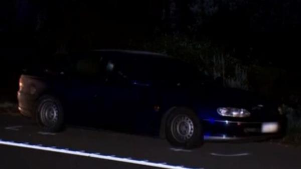 The blue Holden Commodore sedan was statio<em></em>nary on the side of the freeway. 7NEWS